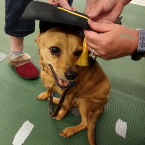 Catawba Valley Obedience Club, Hickory NC